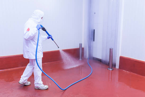 Best Spring Cleaning  in Elgin, TX